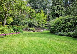 Optimiser l'expérience du jardin à Bonrepos-sur-Aussonnelle